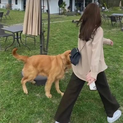 明年此时